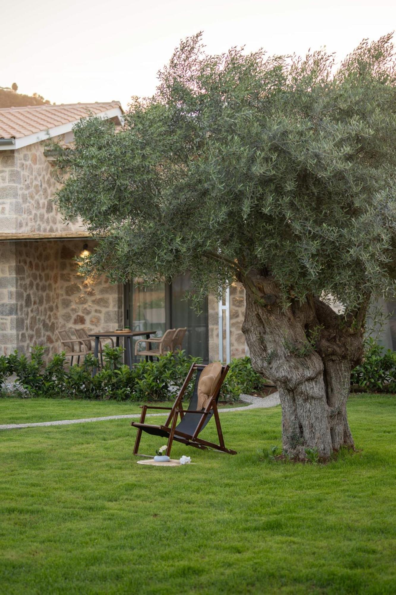 Yannis Retreat