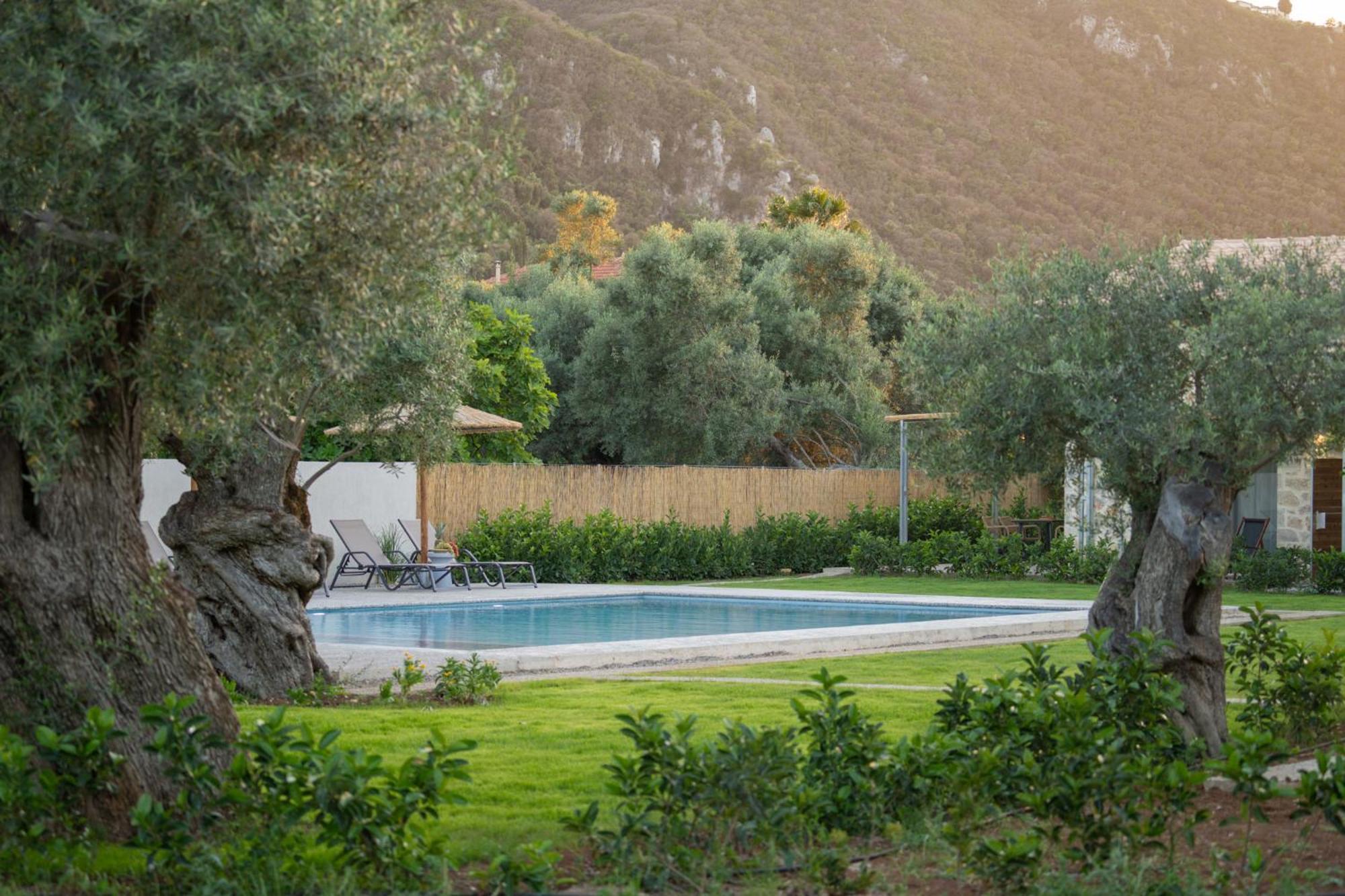 Yannis Retreat Apartment Lefkada City